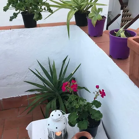Estudio En Port Aiguadolc